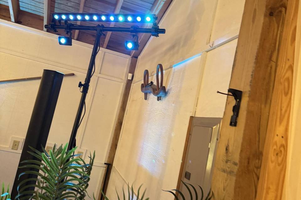 New Lighting