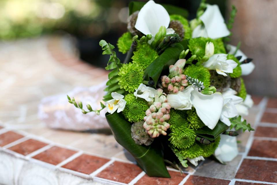 Birchwood Floral