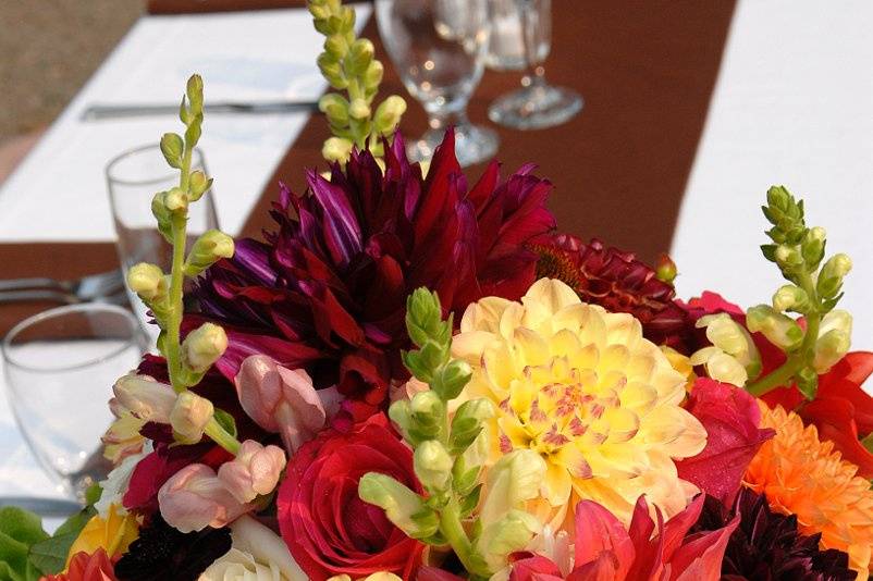 Birchwood Floral
