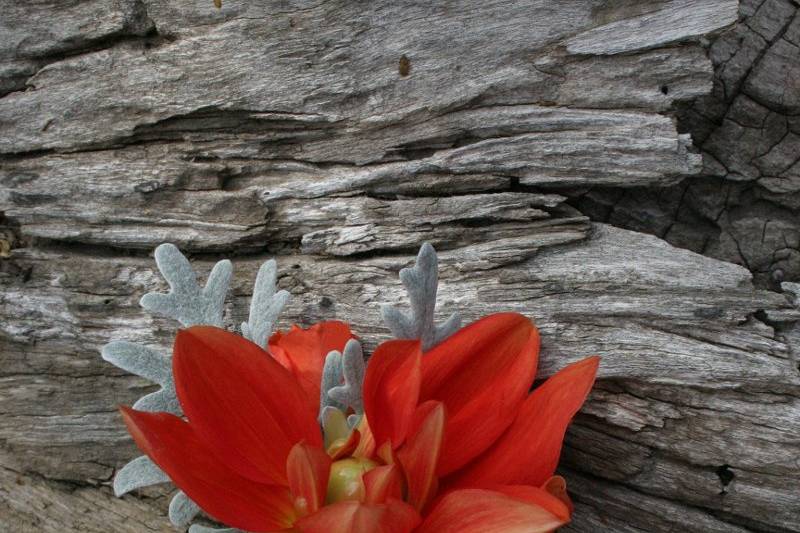 Birchwood Floral