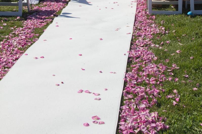 Birchwood Floral