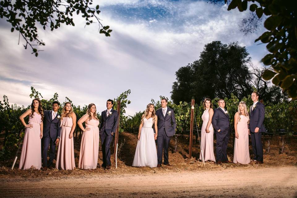 Vineyard wedding