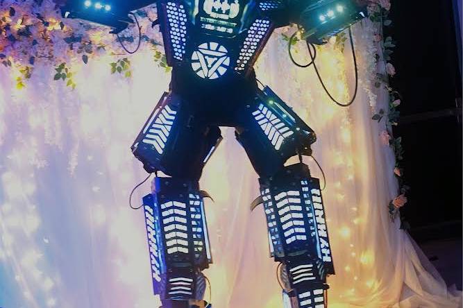 Party robot