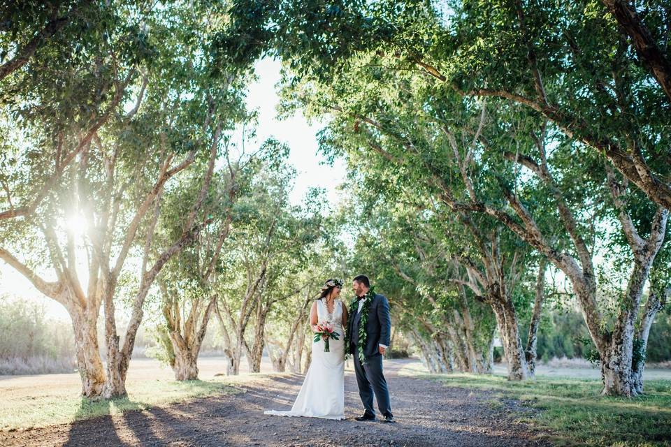 Hawaii wedding photographer