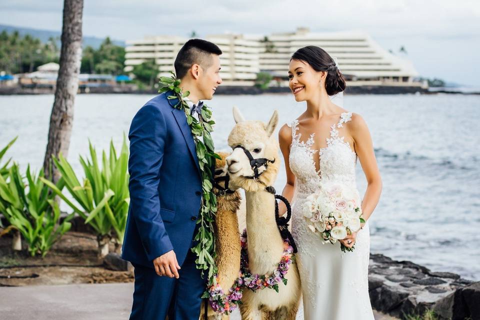 Hawaii wedding photographer