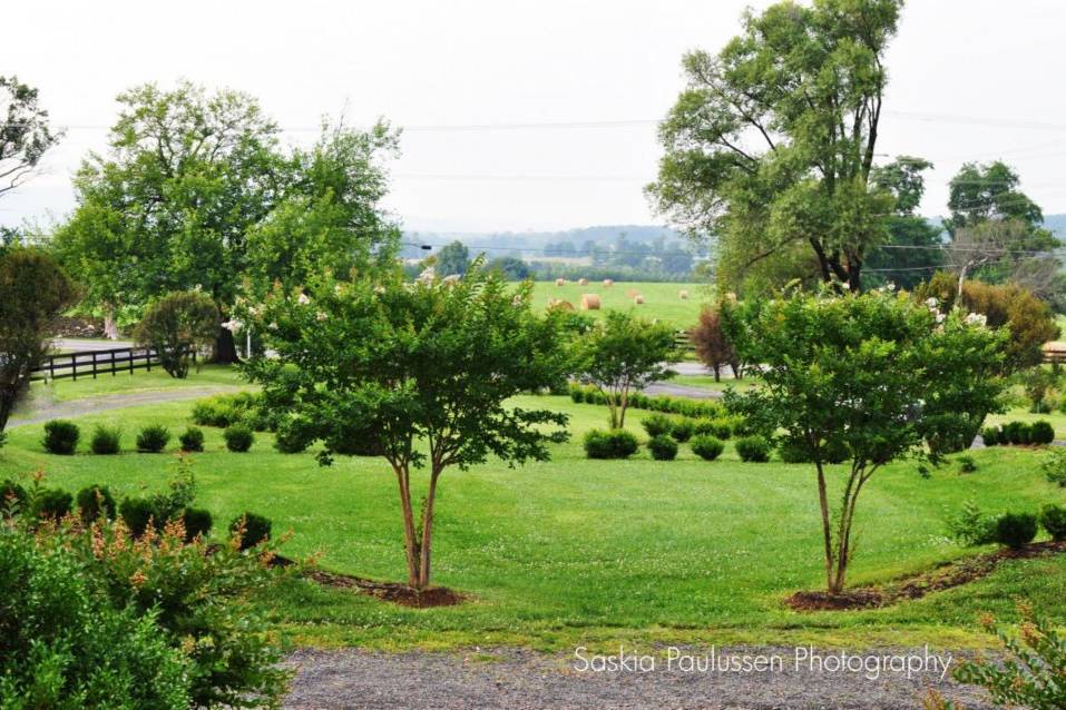 View from the front steps