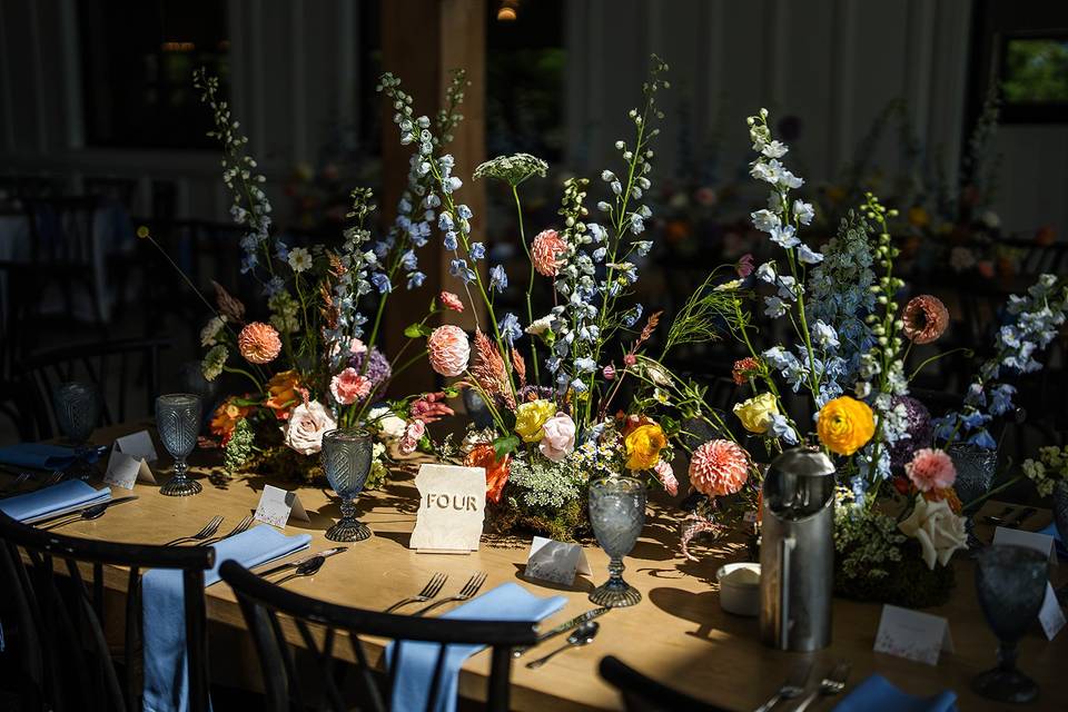 White Willow Reception