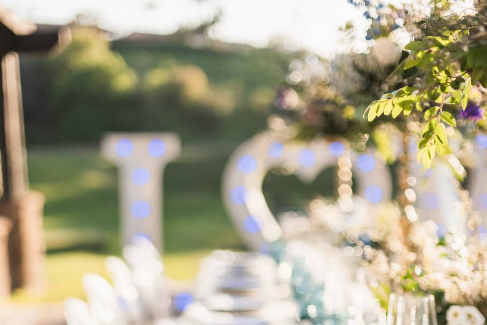 Table settings in blue