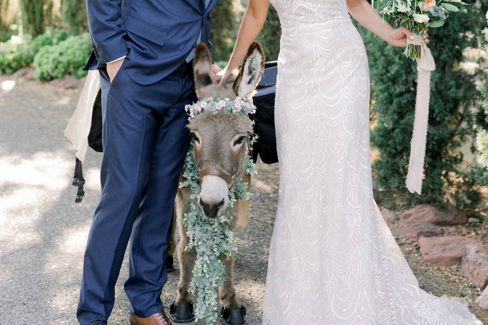 Newlyweds with donkey