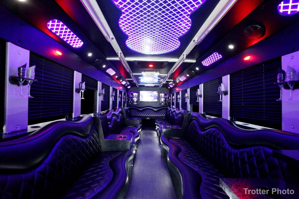 25-27 Passenger Party Bus