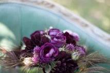Purple garden roses & peacock feathers