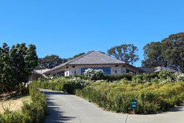 Vista Pointe on the hill