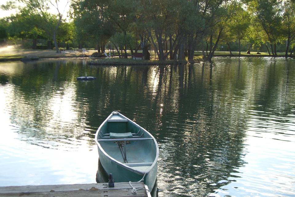 Paddle boat too