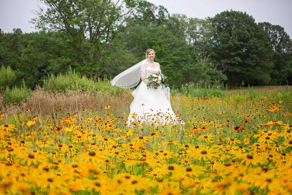 Wild flower field photo shoot