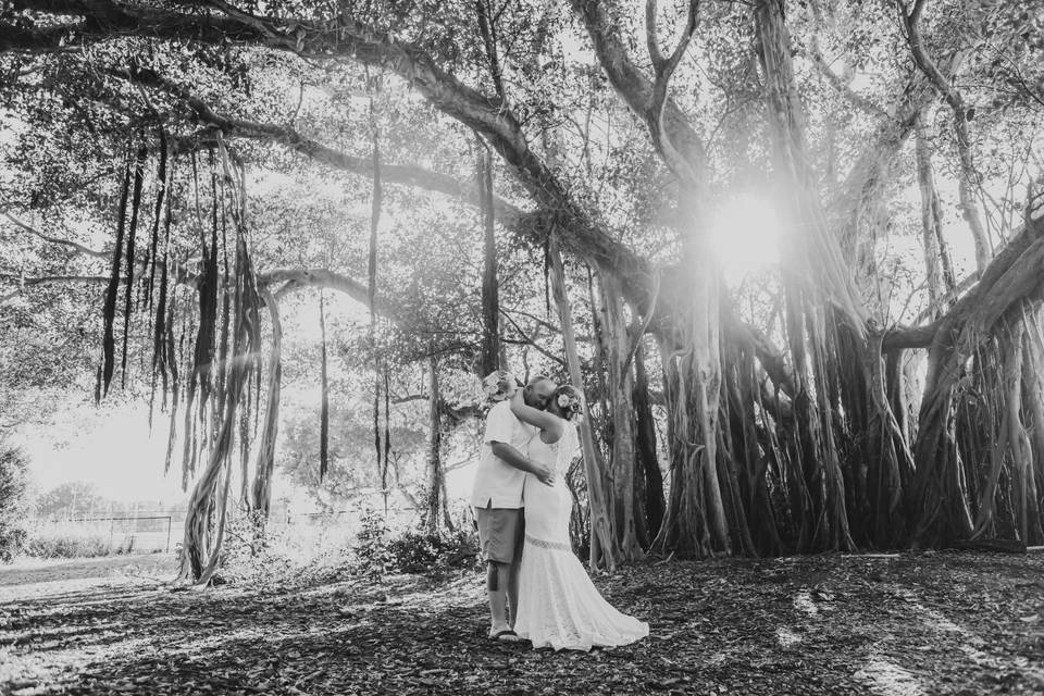 Banyan Trees in The Keys