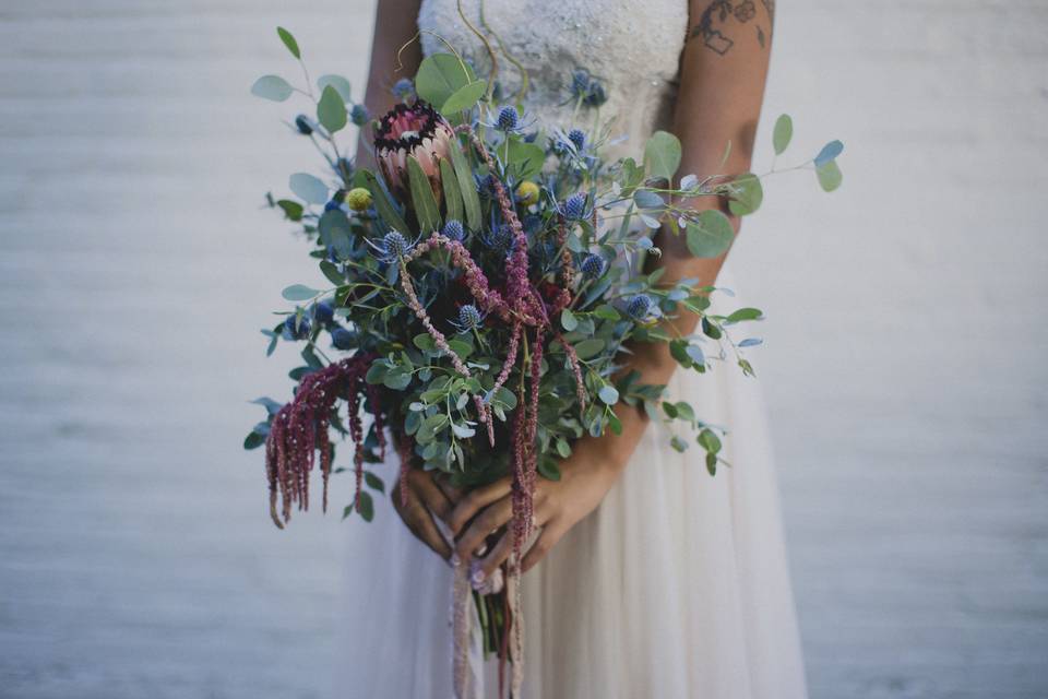 Terra Lange Photography