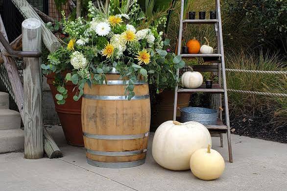 Pumpkins & Plaid