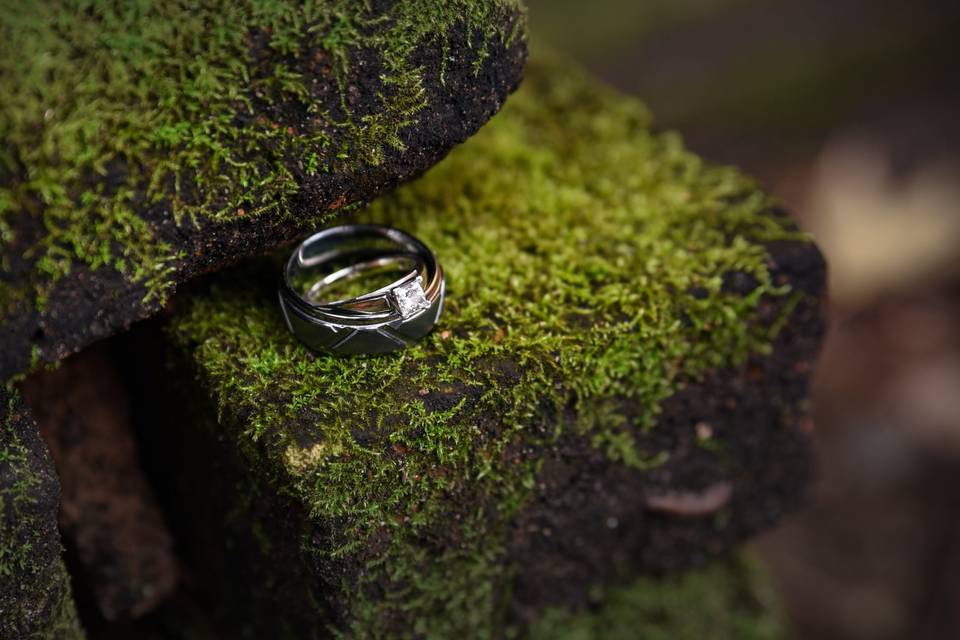 Ring shot on brick and moss