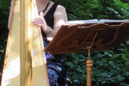 Harp in the gardens at uva