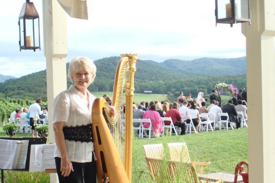 Playing my harp at Pippin Hill weddings is always a joy!