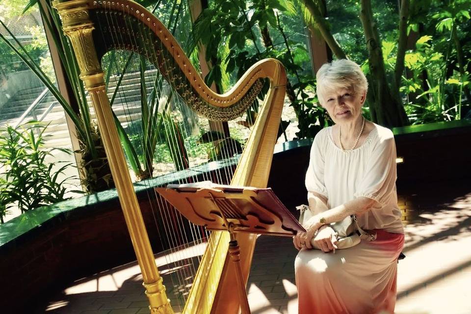 Virginia Schweninger, Harpist