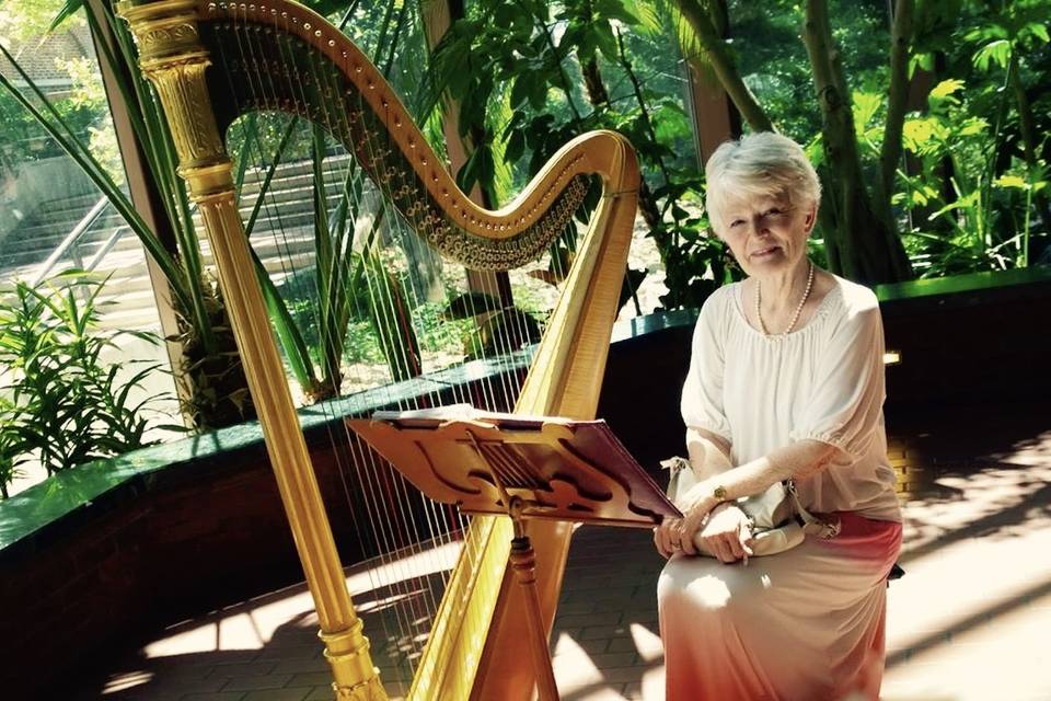 The wedding harpist