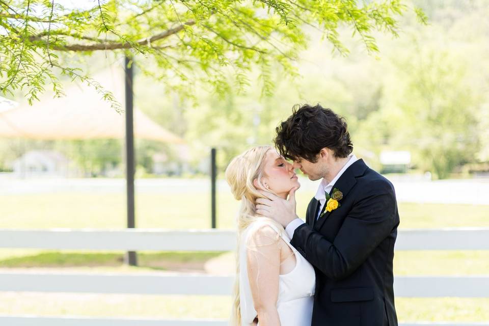 Bride and groom w/ mini horse