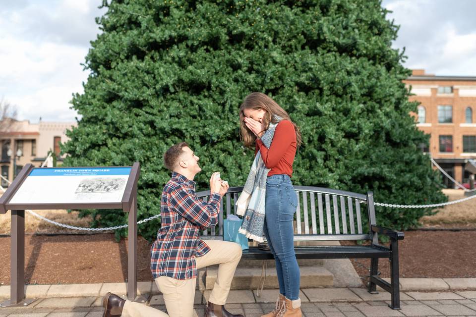 Franklin proposal