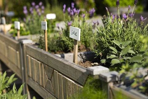 Village Green Herb Garden