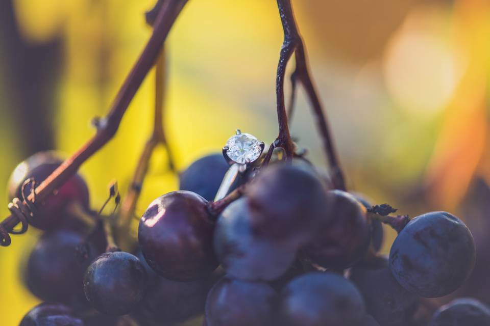 Winery Engagement Photographer