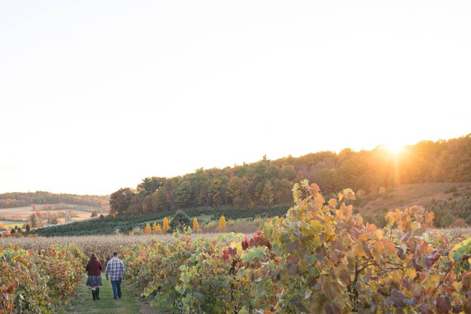 Winery Engagement