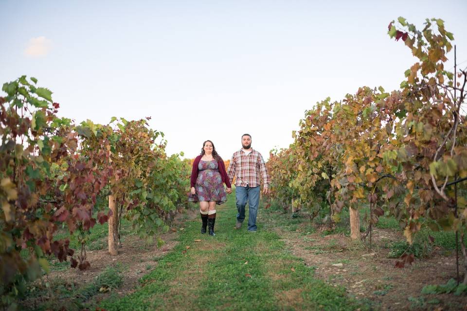 Winery Engagement