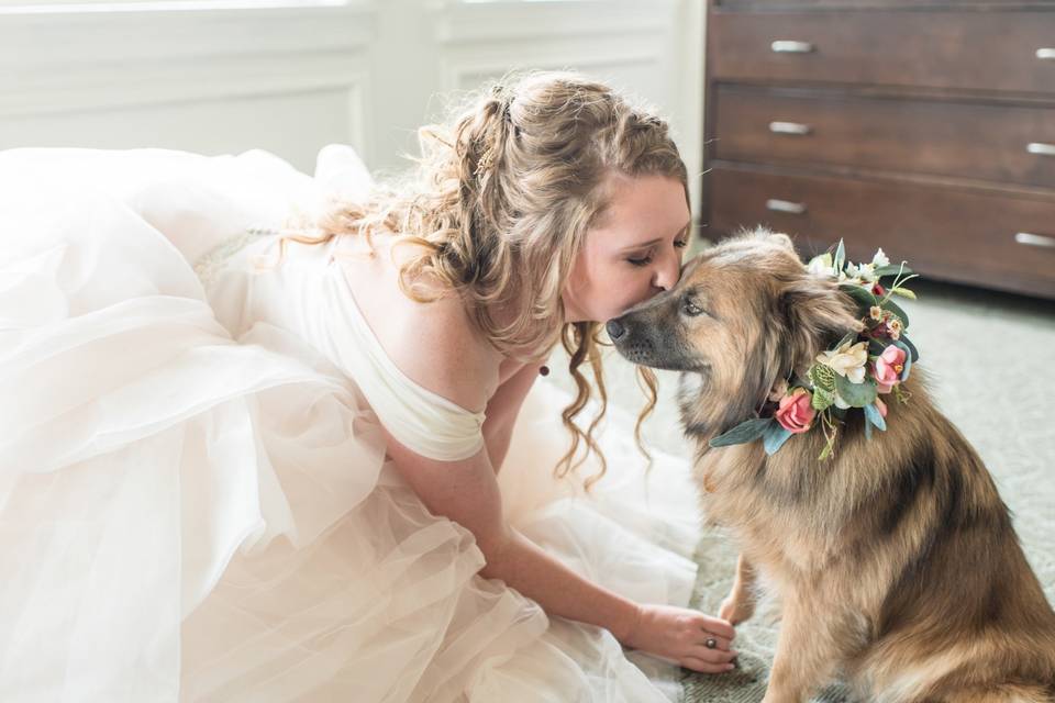 Bride and Pup - Ithaca