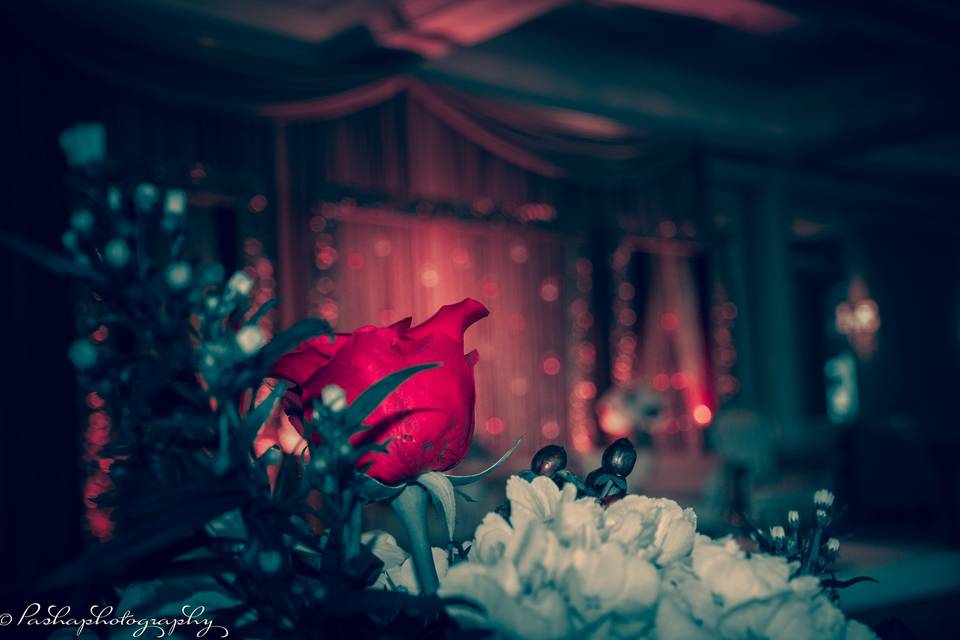 Indian Wedding DJ