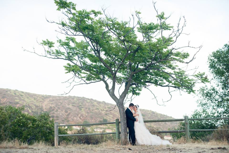 Under the tree