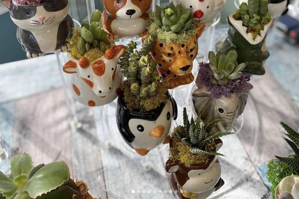 Plant Buddy Favors