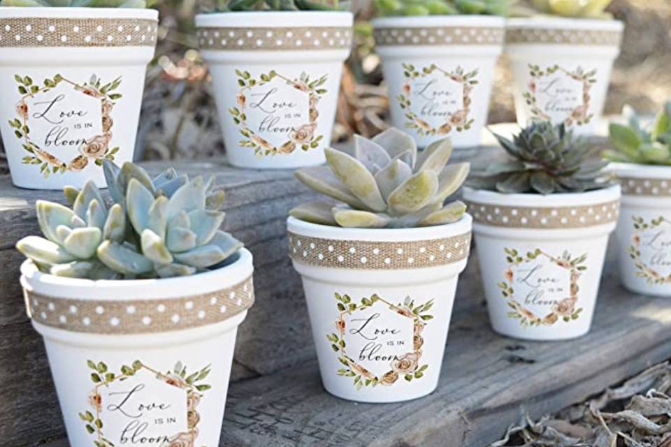 Shop Unfinished Succulent Boho Personalized Name Kit Cutout