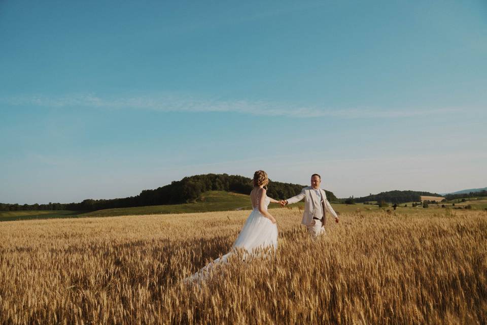 Wheat field