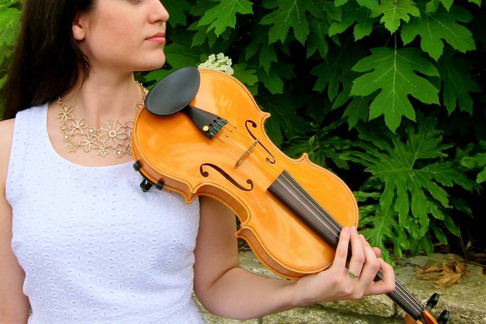 Brianna Rhodes, Violinist