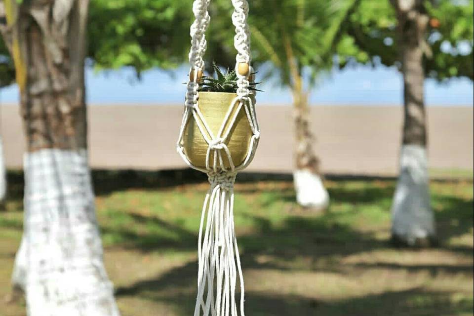 Macrame plant hangers