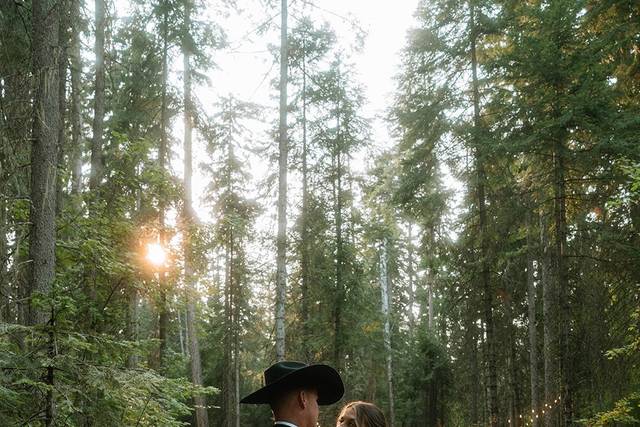 Towering pine backdrop