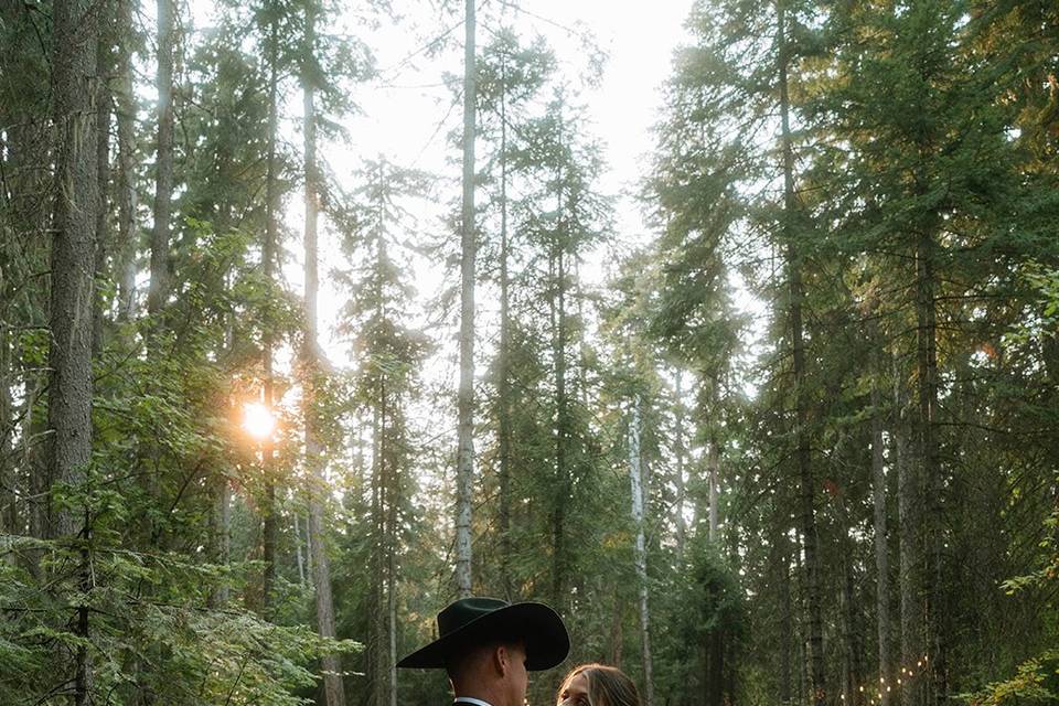 Towering pine backdrop