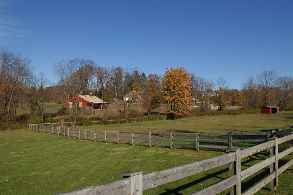 Arbor Springs Farm