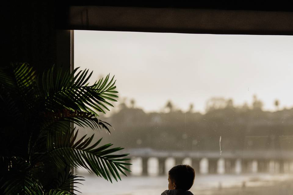 Room with a View
