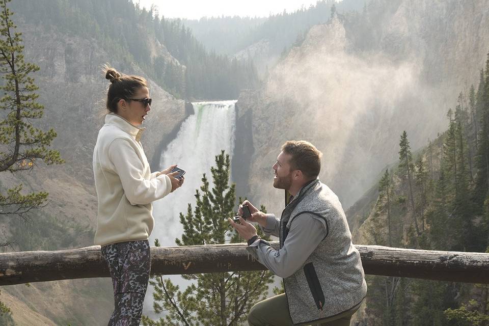 Surprise proposal YNP