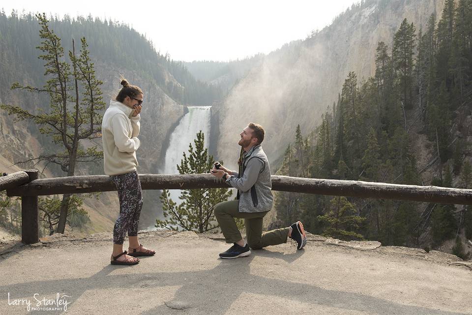 Surprise proposal YNP