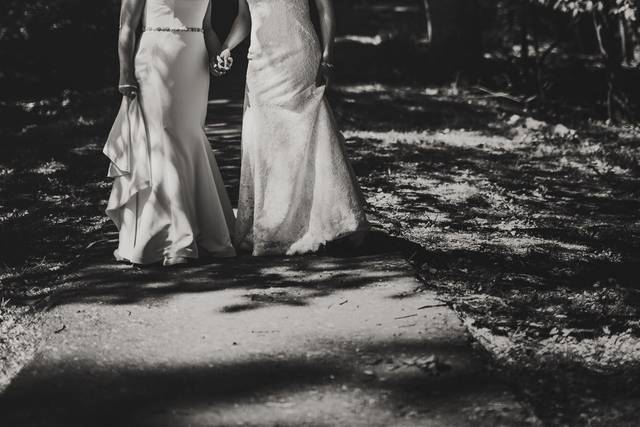 Photo: Brandon Templar