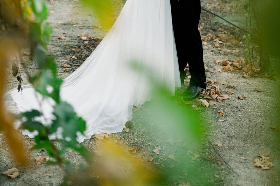 Kissing through the vines