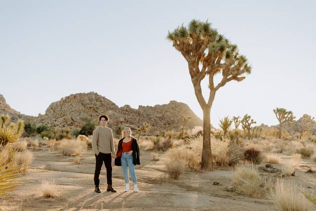 Joshua Tree, CA