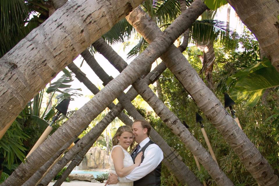 Crossed palms at Cheeca